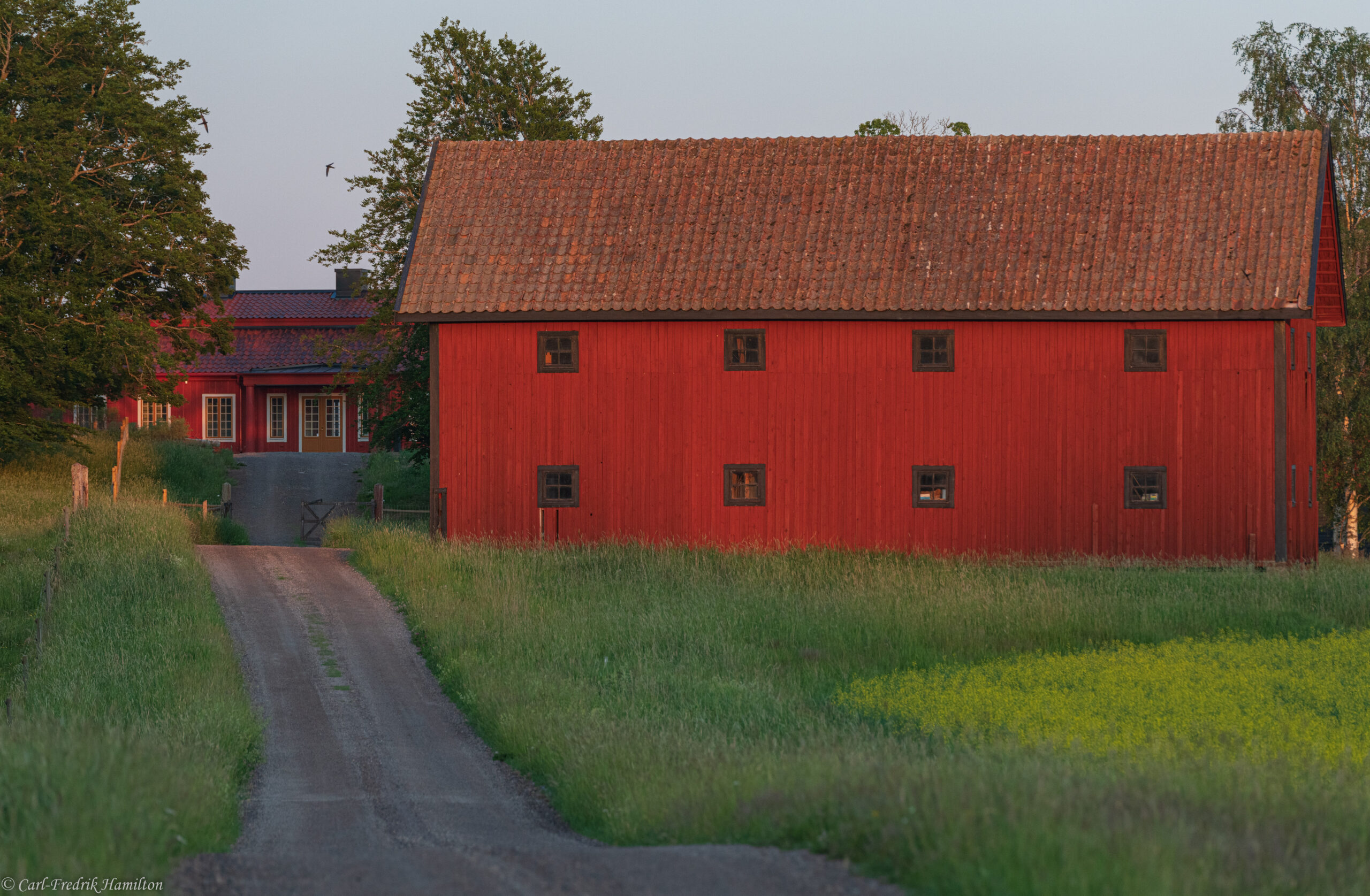 Red house in green fields