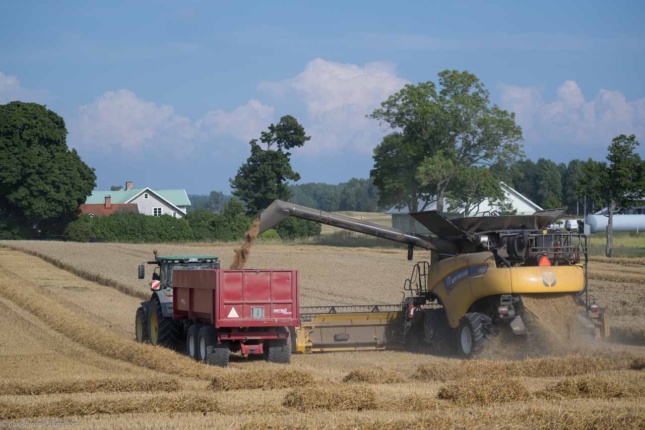 two bulldozer cars in a field